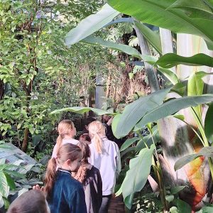 Mehrere Kinder laufen durch ein Gewächshaus im Botanischen Garten