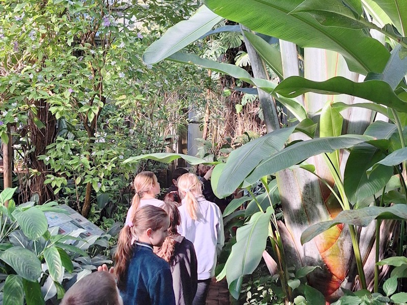 Mehrere Kinder laufen durch ein Gewächshaus im Botanischen Garten